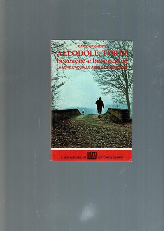 Allodole Tordi Beccacce E Beccaccini La Loro Caccia Le Armi E Le Munizioni - Carlo Brighenti - copertina