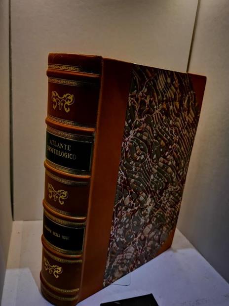 Atlante Ornitologico - Uccelli Europei Con Notizie D'Indole Generale E Particolare (Non Completo) - Ettore Arrigoni Degli Oddi - 2