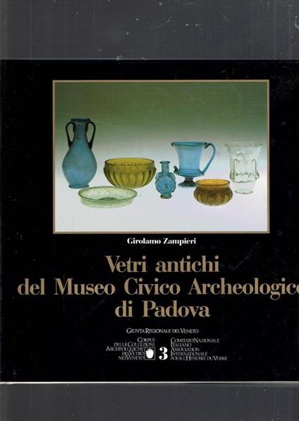 Vetri antichi del Museo civico archeologico di Padova - Girolamo Zampieri - copertina