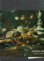 Natura picta : Milano 31 gennaio-23 febbraio 1991