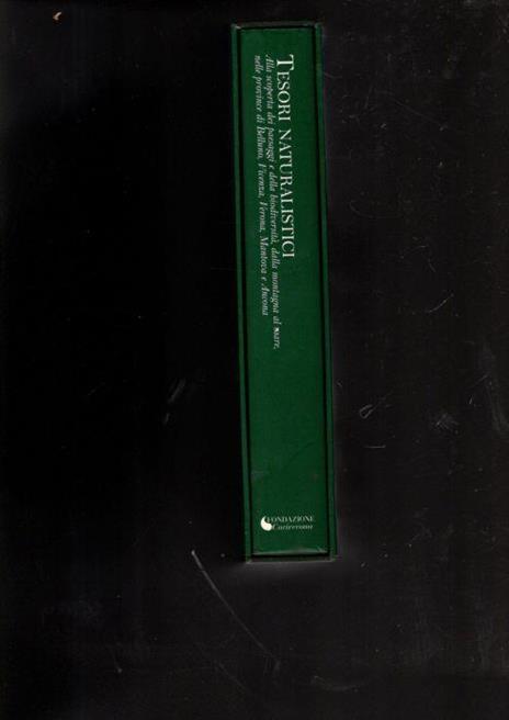 Tesori naturalistici. Alla scoperta dei paesaggi e della biodiversità, dalla montagna al mare nella province di Belluno, Vicenza, Mantova e Ancona - copertina