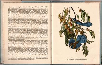 Audubon's American birds - copertina