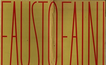 Fausto Faini - Marco Meneguzzo - copertina