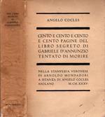 Cento e cento e cento e cento pagine del libro segreto di Gabriele d'Annunzio tentato di morire