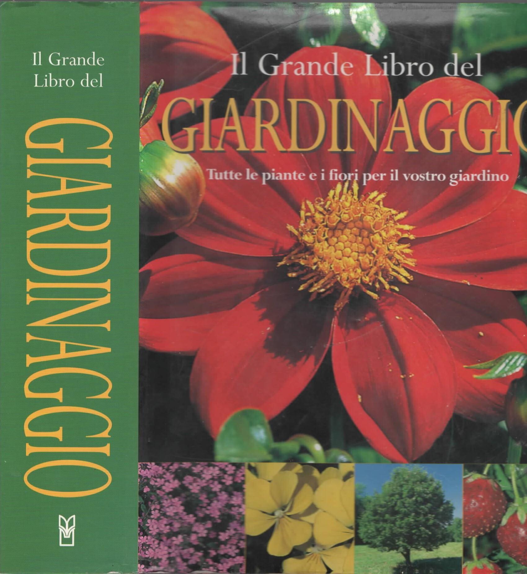 Libreria iolibro