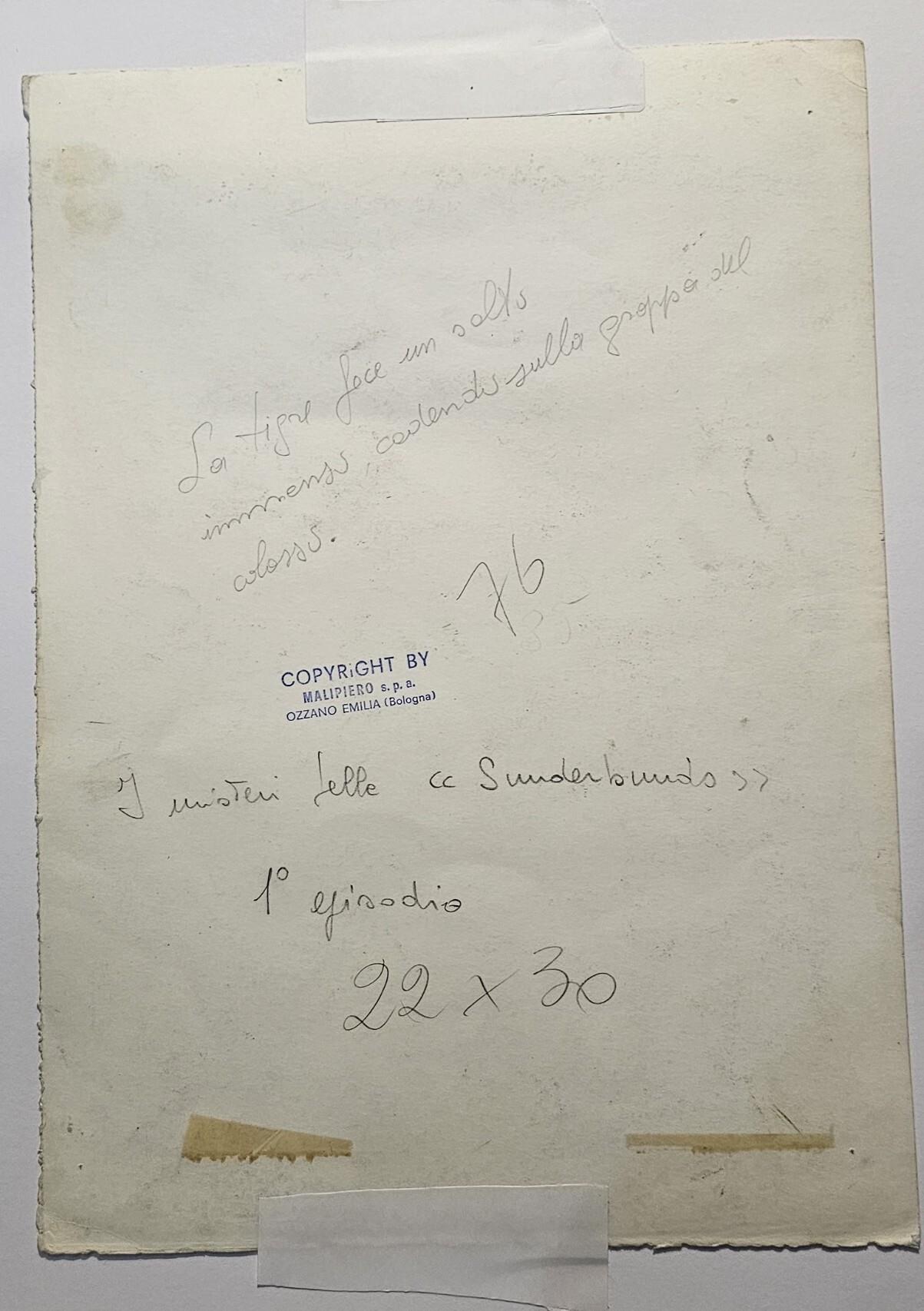 5 disegni originali di Antonio D'agostini per Malipiero