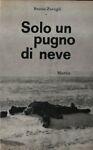 Solo un pugno di neve