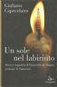 Un Sole Nel Labirinto - Gaudioso Domenico Capecelatro - copertina