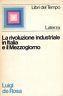 La rivoluzione industriale in Italia e il Mezzogiorno