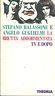 La Brutta Addormentata. Tv E Dopo - Stefano Balassone - copertina