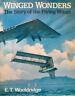Winged Wonders. The Story of the Flying Wings - copertina