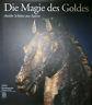 Die Magie Des Goldes