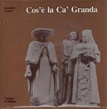 Cos'è la Ca' Granda
