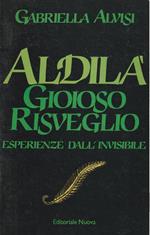 Aldilà. Gioioso risveglio. Esperienze dell'invisibile