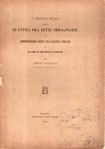 L' Essenza Reale delle Quantità ora dette Immaginarie