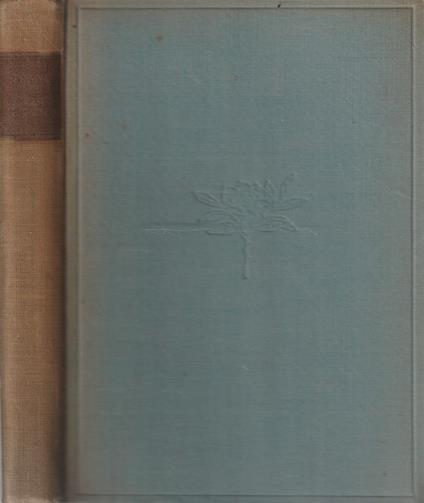 Donne del Rinascimento - Giuseppe Portigliotti - copertina