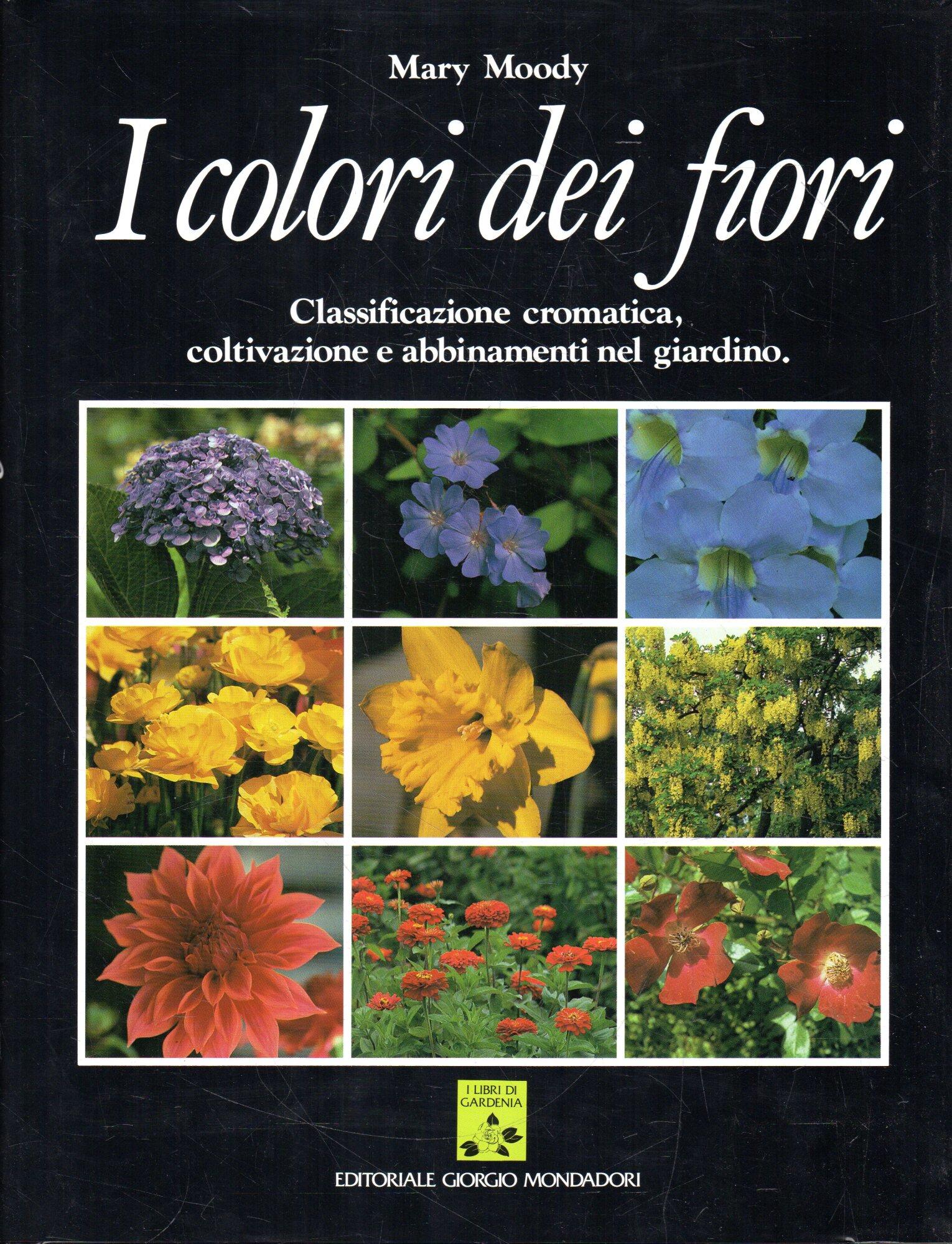 Zefiro libri