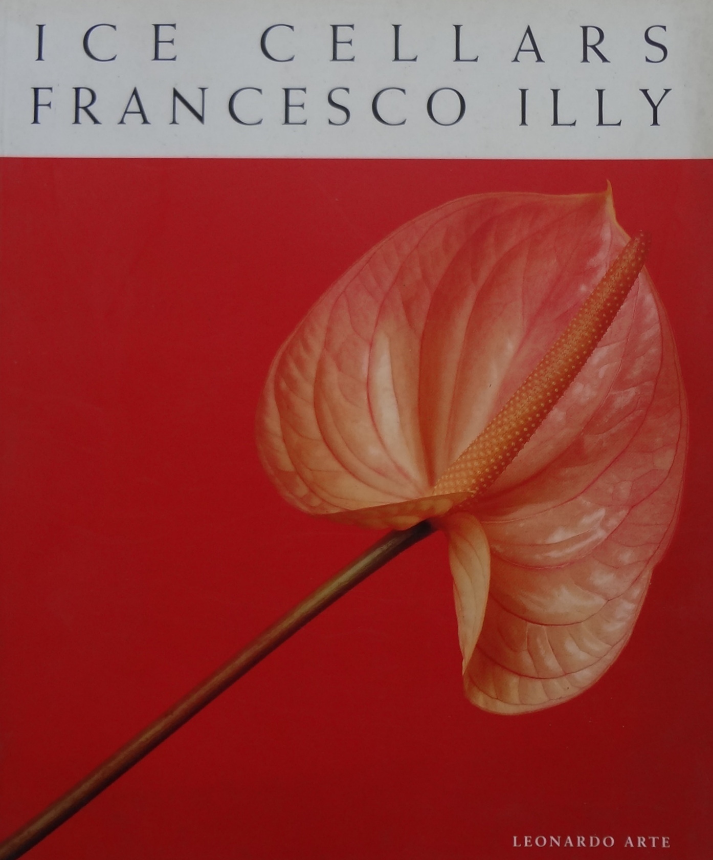 Zefiro libri