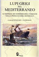 Lupi grigi nel Mediterraneo : le imprese dei sommergibili tedeschi nella prima guerra mondiale
