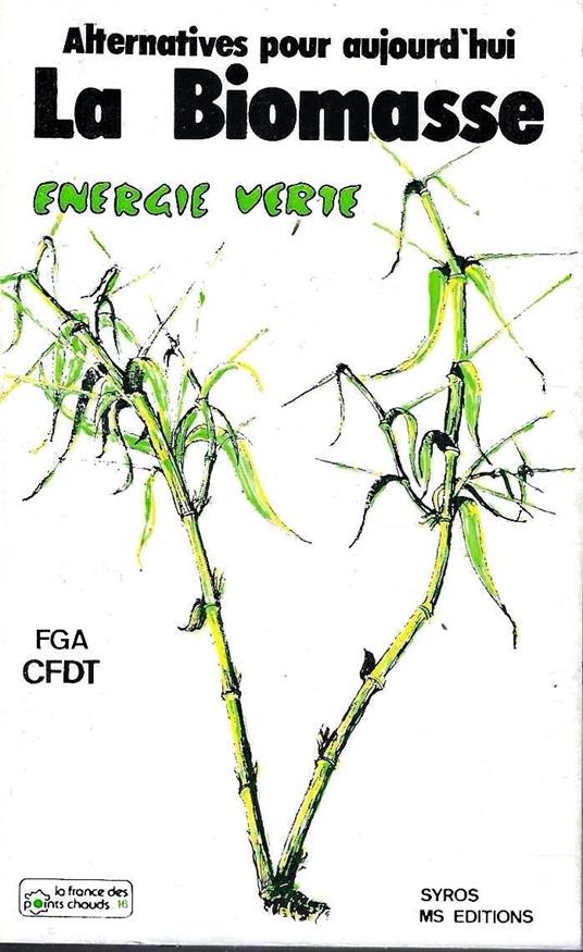 La Biomasse, energie verte. Alternative pour l'aujourd'hui - copertina