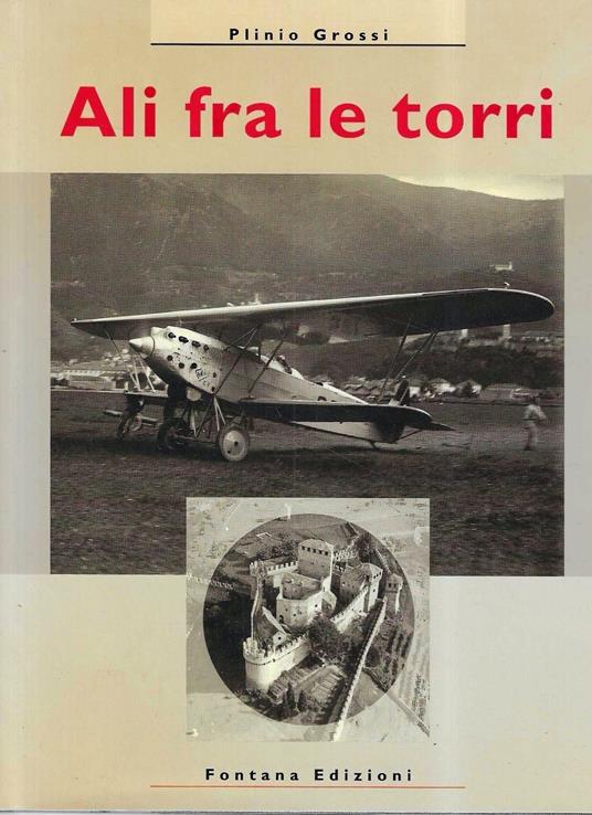 Ali fra le torri - copertina