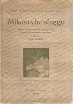 Milano che sfugge. Appunti, schizzi, istantanee, memorie d'arte della città dimenticata o moritura