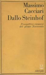 Dallo Steinhof. Prospettive viennesi del primo Novecento