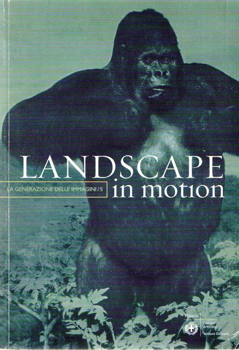 Landscape in motion : La generazione delle immagini 5