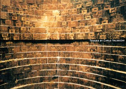 Tenaris by Carlo Valsecchi - Carlo Valsecchi - copertina