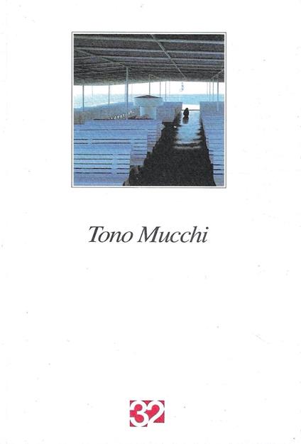 Tono Mucchi. "Sguardi in un interno" , dipinti 1900-1996 (Catalogo della Mostra, Milano 1996) - Alfredo Paglione - copertina