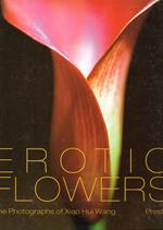 Erotic Flowers: The Photographs Of Xiao Hui Wang