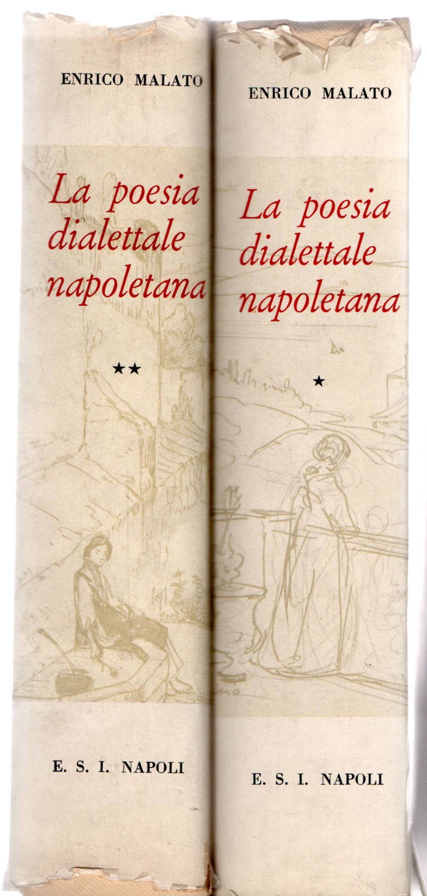 Zefiro libri