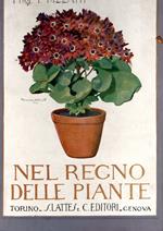 Nel regno delle piante