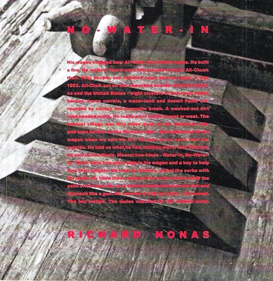 Richard Nonas. No-water-in (Catalogo della Mostra - Bologna, 2011) - copertina