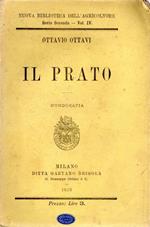 Il prato