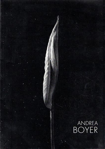 Andrea Boyer - Stefano Crespi - copertina