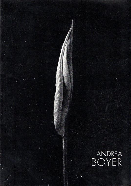 Andrea Boyer - Stefano Crespi - copertina