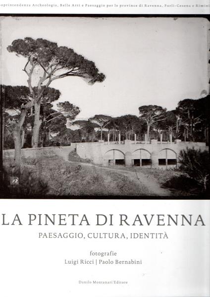 La pineta di Ravenna : paesaggio, cultura, identità - copertina