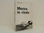 Morire in risaia