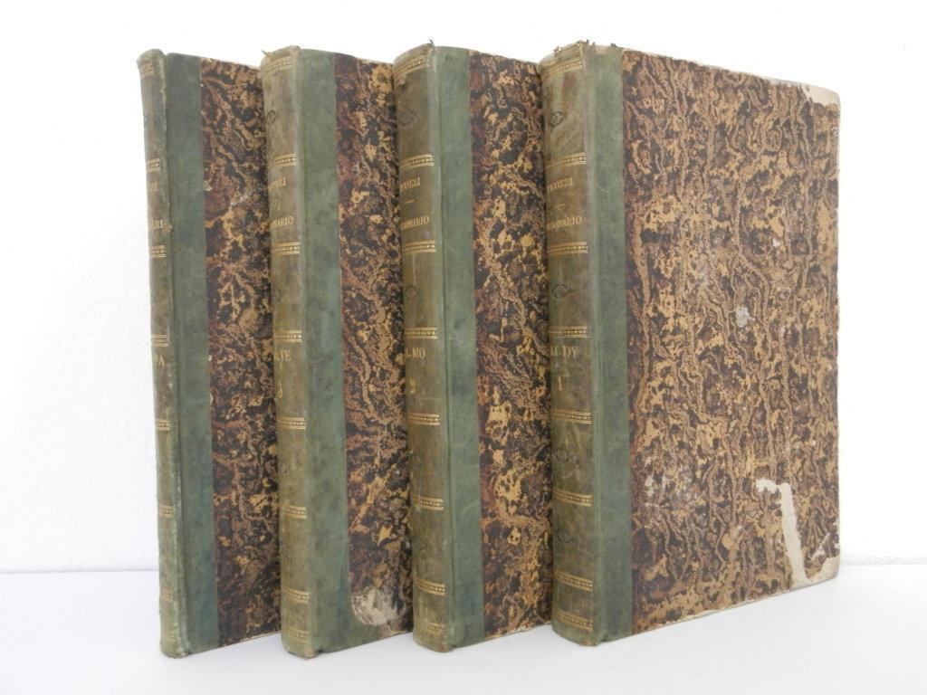 Dizionario degli architetti, scultori, pittori, intagliatori in rame ed in pietra, coniatori di medaglie, musaicisti, niellatori, intarsiatori d'ogni eta e d'ogni nazione