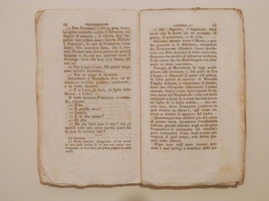 Luisa Strozzi. Storia del secolo XVI