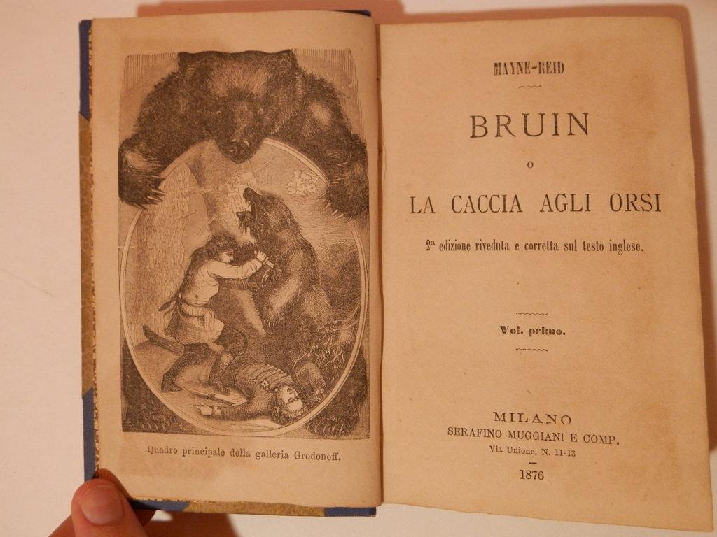 Bruin o la caccia agli orsi