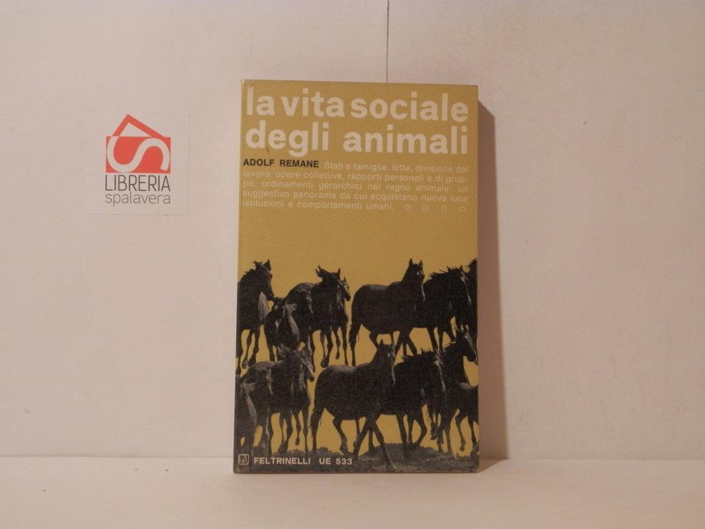 Libreria Spalavera