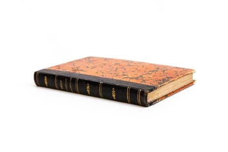 Manuel de l'étudiant magnétiseur, ou Nouvelle instruction pratique sur le magnétisme, fondée sur 30 années d'experiences et d'observation - 2