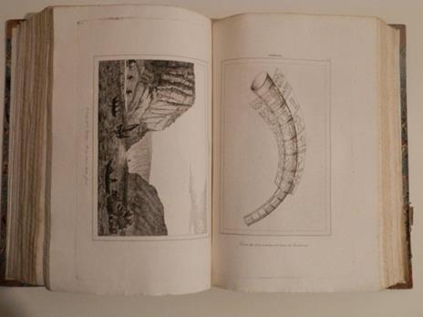 Allemagna di Filippo Le Bas. Prima versione italiana - Philippe Le Bas - 4