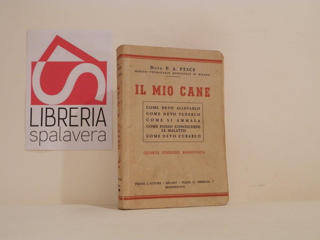 Libreria Spalavera