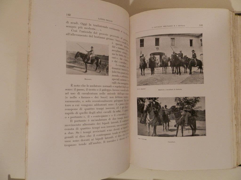 Latina tellus : la campagna romana