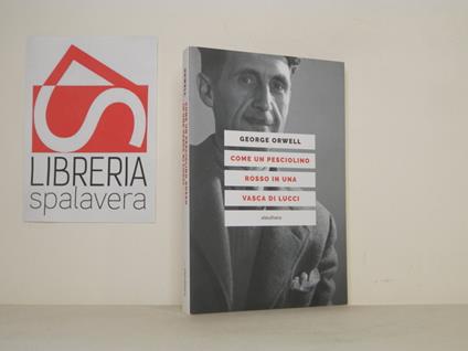 Come un pesciolino rosso in una vasca di lucci - George Orwell - copertina