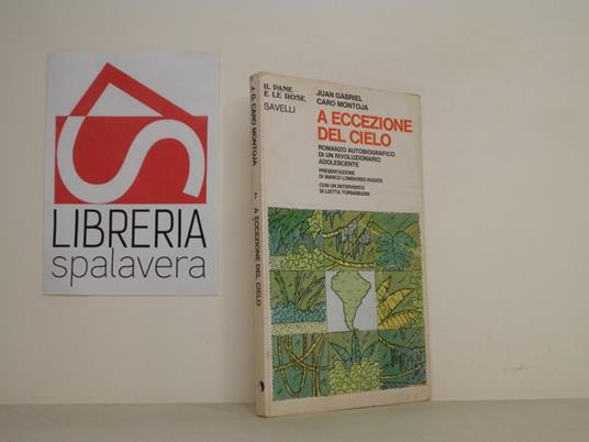 A eccezione del cielo - Juan Gabriel - copertina