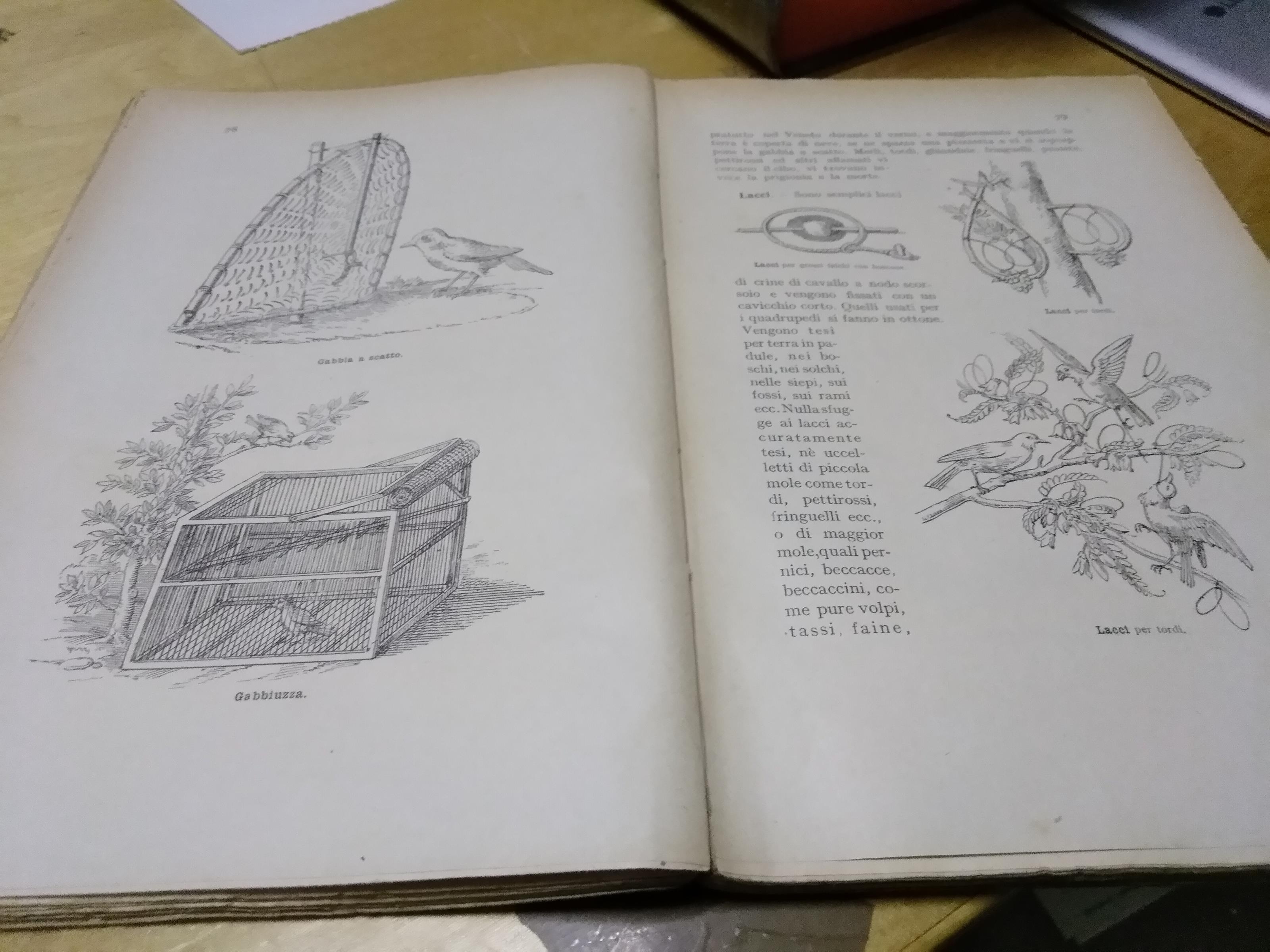 Testo esplicito ed illustrativo delle disposizioni vigenti in materia venatoria arrigoni 1926